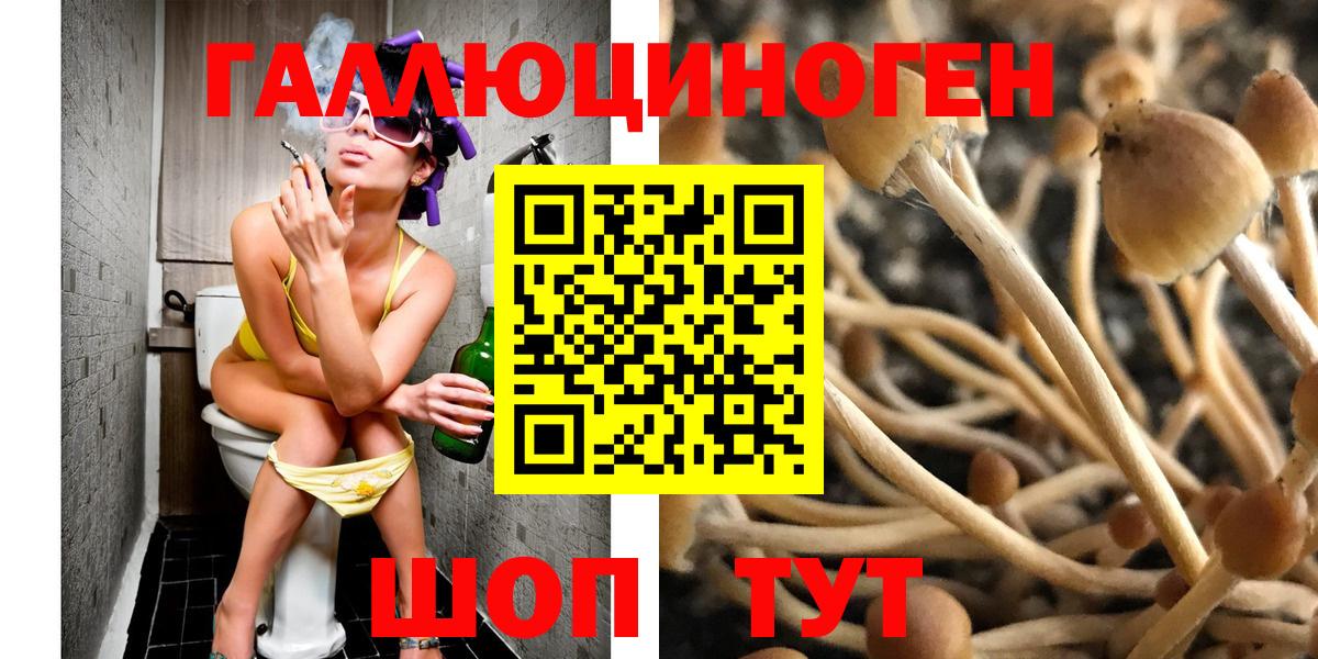 Новочеркасск  Псилоцибиновые грибы мицелий  Вход с VPN  закладка  Галлюциногенные грибы MAGIC MUSHROOMS 